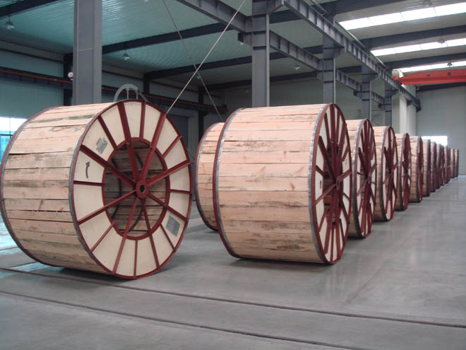 抖圈- 抖圈为赌而生