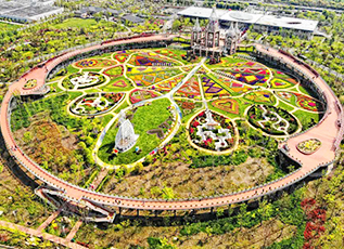 抖圈- 抖圈为赌而生