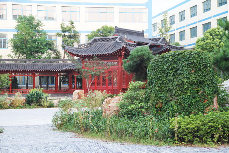 抖圈- 抖圈为赌而生