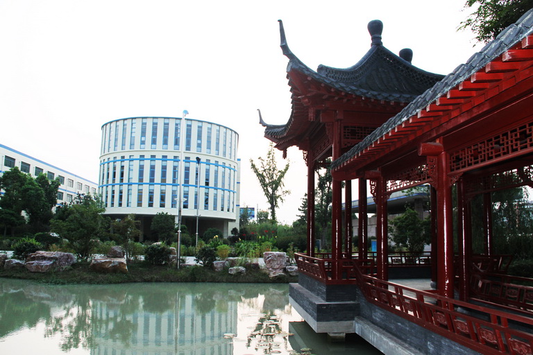 抖圈- 抖圈为赌而生